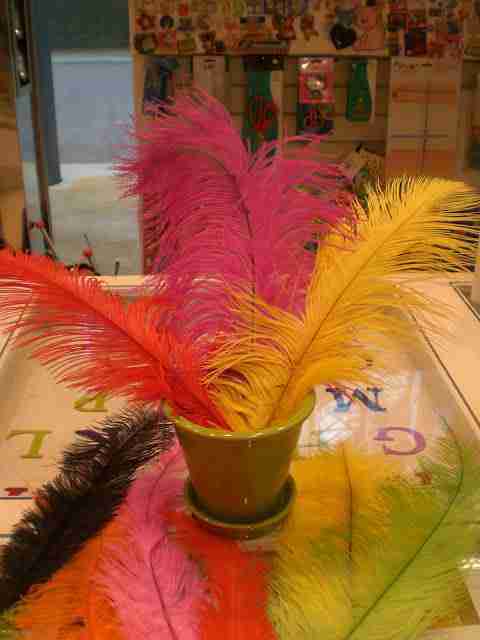 plumas de avestruz