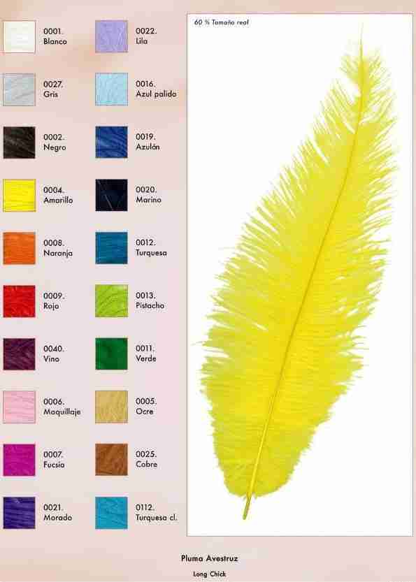 Pluma Avestruz - Imagen 2